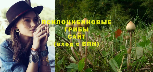прущие крисы Алексеевка